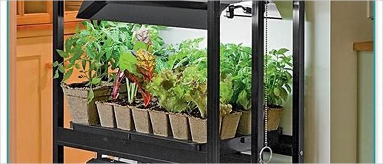 Indoor veggie garden kits
